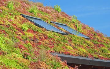 Chiltern Green living roof systems
