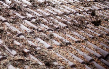 Chiltern Green roof cleaning companies